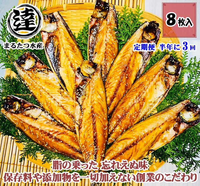 G3*【ふるさと納税】【定期便 全3回】伊豆・伊東 丸達水産 人気No1ふんわりさばみりん干し 8枚 半年に3回