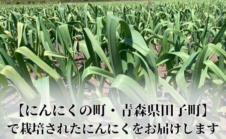 丸美農園 田子産にんにく家庭用バラ 約900g（M～2L）＋黒にんにく 1個