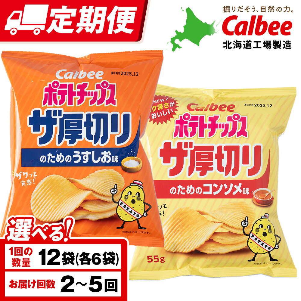 【ふるさと納税】【選べる定期便】ザ厚切りのための 2種セット うすしお・コンソメ 各6袋 カルビー ポテトチップス 《千歳工場製造》スナック お菓子 北海道 千歳 ポテチ ポテトチップス 北海道ふるさと納税 千歳市 ふるさと納税 ギフト ふるさと納税