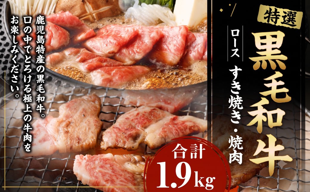 
特選 黒毛和牛 ロース すき焼き＆焼肉セット 計1.9kg（すき焼き用 500g×3・焼肉用 400g）国産 牛肉 Z-2
