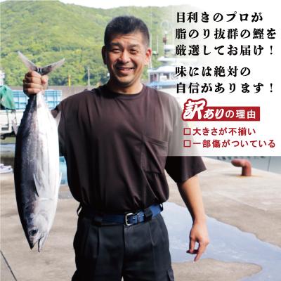 ふるさと納税 愛南町 【カツオランキング1位】 高評価★4.8 訳あり かつおのたたき 2.5kg 鰹タタキ |  | 01