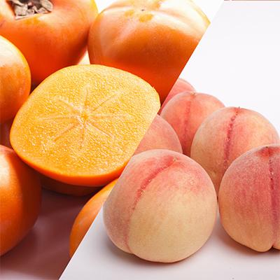 ふるさと納税 広川町 【発送月固定定期便】フルーツ定期便B【フルーツ定期便】【和歌山県有田】全6回 |  | 03