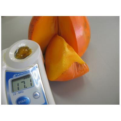 ふるさと納税 八幡浜市 みさき果樹園のとろけてあま〜いジャンボな柿「富士柿5kg」【C21-23】 |  | 03