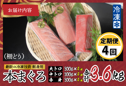 【定期便】【4ヶ月連続お届け】 刺身用！本マグロ堪能セット（柵どり）900g × 4回【最新の冷凍技術】