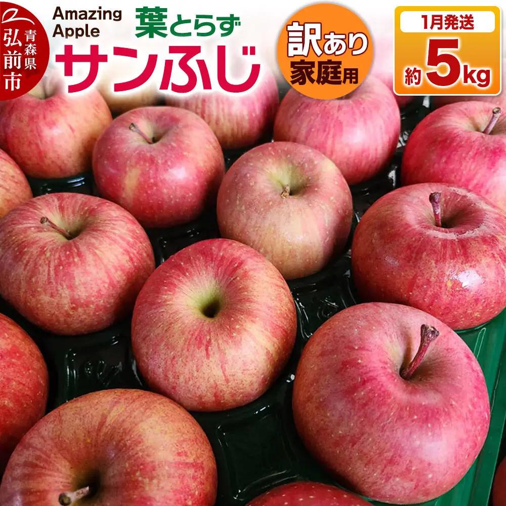 【27年1月発送】りんご 葉とらずサンふじ【訳あり】家庭用 約5kg 先行受付
