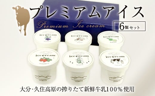 
            プレミアムアイスクリーム 6個入りセット（120ml×6個）
          
