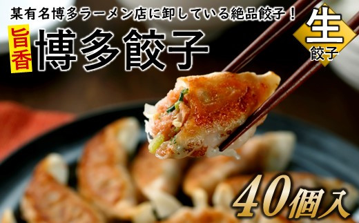 
            ZG199.【創業40年の老舗が誇る味わい】博多餃子４０個
          