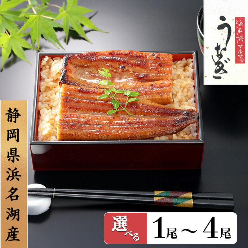 【ふるさと納税】浜名湖うなぎ 長蒲焼 1尾～4尾 選べる容量 たれ山椒付 浜名湖マルマ【配送不可：離島】贈答 土用の丑の日 蒲焼 鰻 うなぎ 真空パック 個包装 冷凍 静岡 浜松市