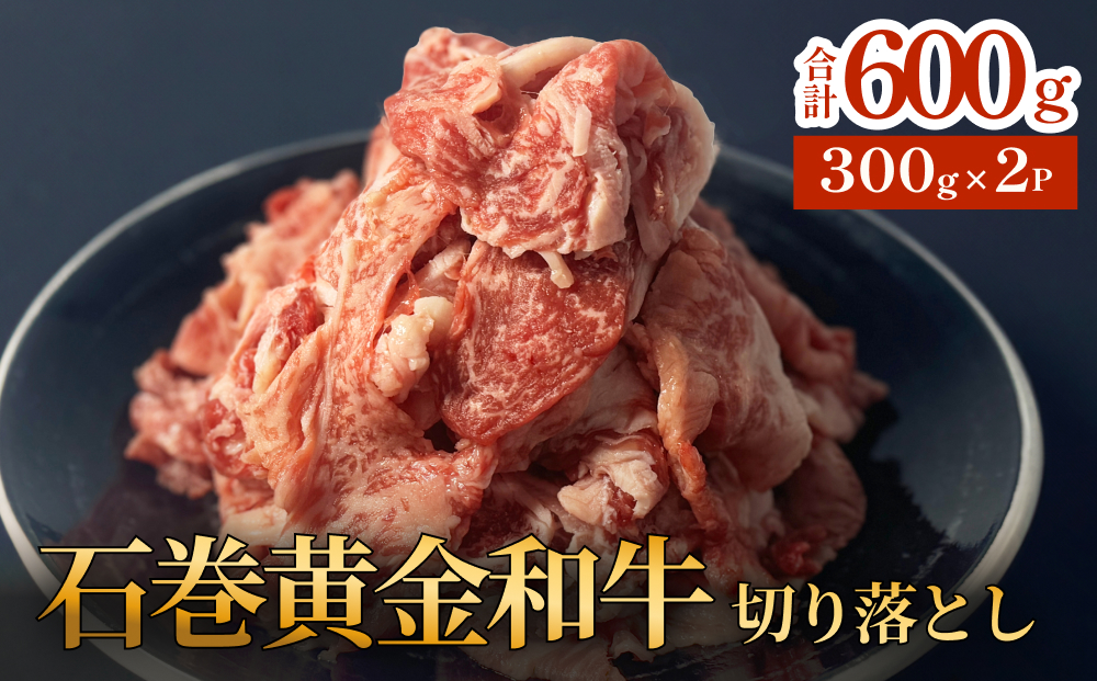 牛肉 石巻 黄金 和牛 切り落とし 300g×2P 赤身 国産 美味しい 使いやすい 小分け 肉　お肉 細切れ おかず すき焼き 焼肉 冷凍