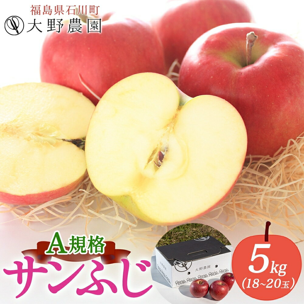 【ふるさと納税】サンふじ 5kg A規格 18～20玉 ｜ りんご リンゴ 旬 林檎 果物 フルーツ 甘い アップル 産直 大野農園 福島県 石川町【19012DA0101】