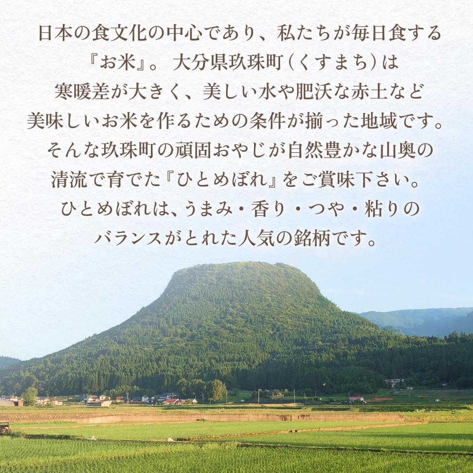 【令和6年 玖珠産・ひとめぼれ 精米 10kg】3回お届け！ガン
