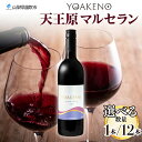 【ふるさと納税】YOAKENO 天王原マルセラン 750ml 【選べる本数 1本or12本】 ふるさと納税ワイン マルセラン 赤ワイン 酒 果実酒 贈答 ギフト プレゼント 晩酌 宅飲み 家飲み キャンプ BBQ バーベキュー パーティー 熨斗 のし 名入れ不可 送料無料 山梨県 笛吹市　177-4-084