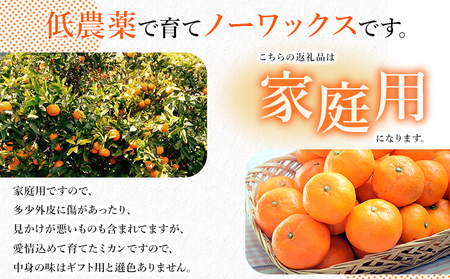 ＜愛媛みかん 家庭用（不揃い）箱込約5kg＞ 果物 フルーツ 温州みかん うんしゅうみかん ウンシュウミカン みかん ミカン 蜜柑 オレンジ 柑橘 自宅用 訳あり 産地直送 三好農園 西宇和 愛媛県 