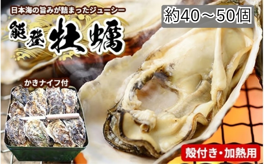 
                  魚介類 牡蠣 / 能登かき / 殻付き・加熱用・半斗缶［約40～50個］ ※2026年12月～発送 ※離島への発送不可
                