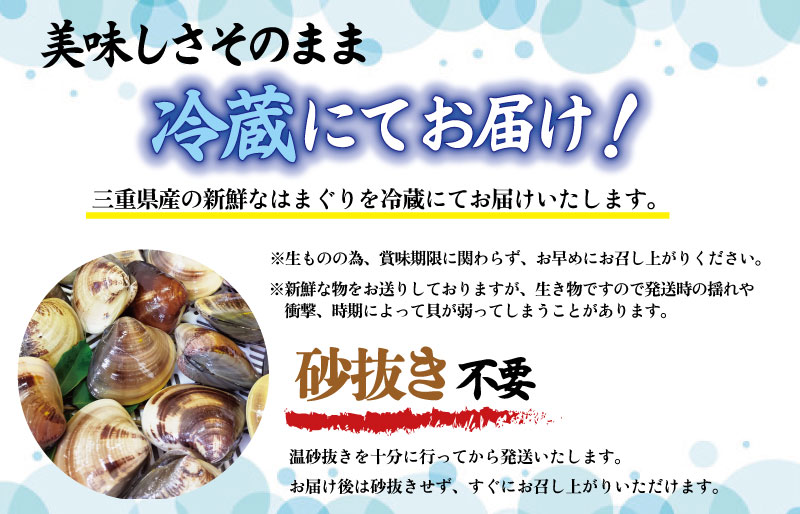 三重県産 活きはまぐり 大サイズ １kg 【しもい水産】はまぐり ハマグリ 天然はまぐり 活はまぐり 天然 砂抜き ふるさと納税 ふるさと 人気 網焼き 酒蒸し お吸い物 バーベキュー BBQ  sm