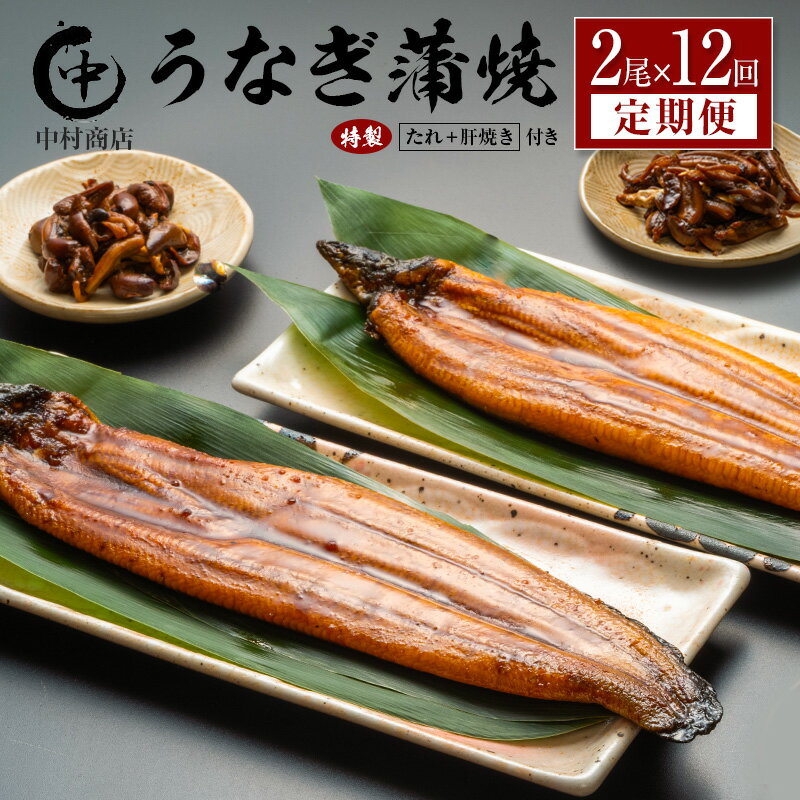 【ふるさと納税】＜定期便＞2尾×全12回 国産 うなぎ 蒲焼 有頭 計4.3kg以上（1回あたり 計362g以上） 肝焼き・たれ付き 宮崎県産 鰻 中村商店