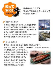 うなぎ蒲焼き4尾入り 960g（蒲焼たれ8袋 山椒付き）