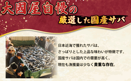 訳あり 国産 無塩 サバ 4kg 【12月以降発送】 サバ