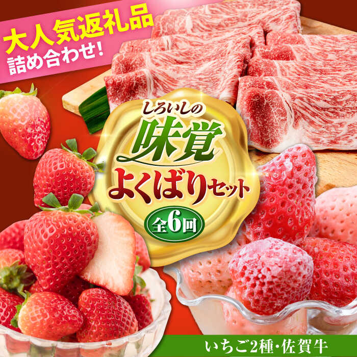 【ふるさと納税】【R8年1月以降発送】しろいしの味覚よくばりセット（いちご2種と佐賀牛） / いちご苺 果物 フルーツ 黒毛和牛 A4 A5 ブランド牛 佐賀県 白石町 [IZZ025]