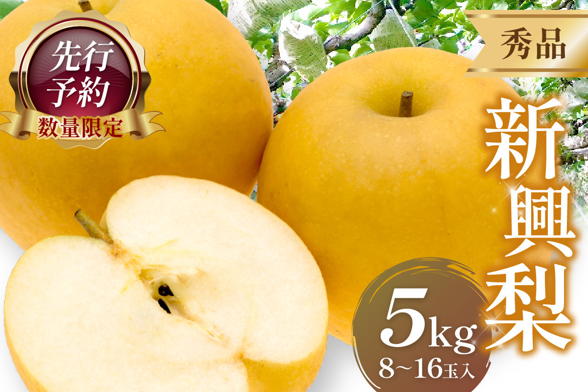 
            【先行予約／数量限定50】新興梨 秀品 5kg（8～16玉入り）（2025年10月上旬～発送）　SF00022
          