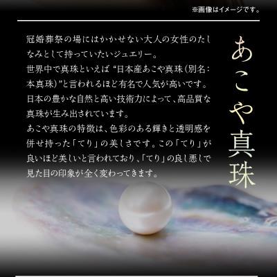 ふるさと納税 延岡市 あこや本真珠ピアス　真珠9mm　14Kホワイトゴールド |  | 01
