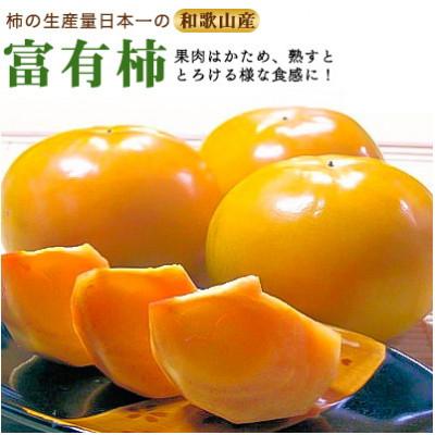 ふるさと納税 御坊市 富有柿 3.5kg(13〜17個)和歌山産