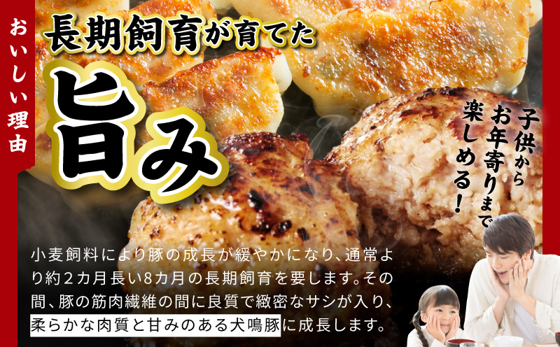 【期間限定】犬鳴豚餃子 100個 ハンバーグ 2個 セット【国産 豚肉 ぶたにく 犬鳴ポーク 焼くだけ 人気 総菜 冷凍】 G5375
