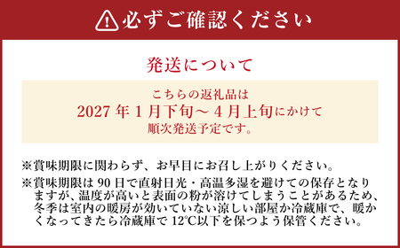 【TVで紹介】 《先行受付》 堂上蜂屋柿 秀 6個 【2027年1月下旬-4月上旬 発送予定】