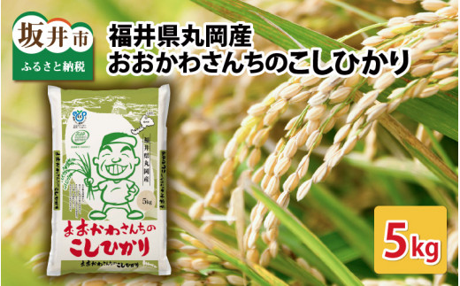 おおかわさんちのこしひかり 5kg 【令和7年産】 コシヒカリ こしひかり 白米 米 お米 kome 5キロ 精米 ブランド米 ごはん ご飯 おいしい 人気 産地直送 国産 [A-10812]