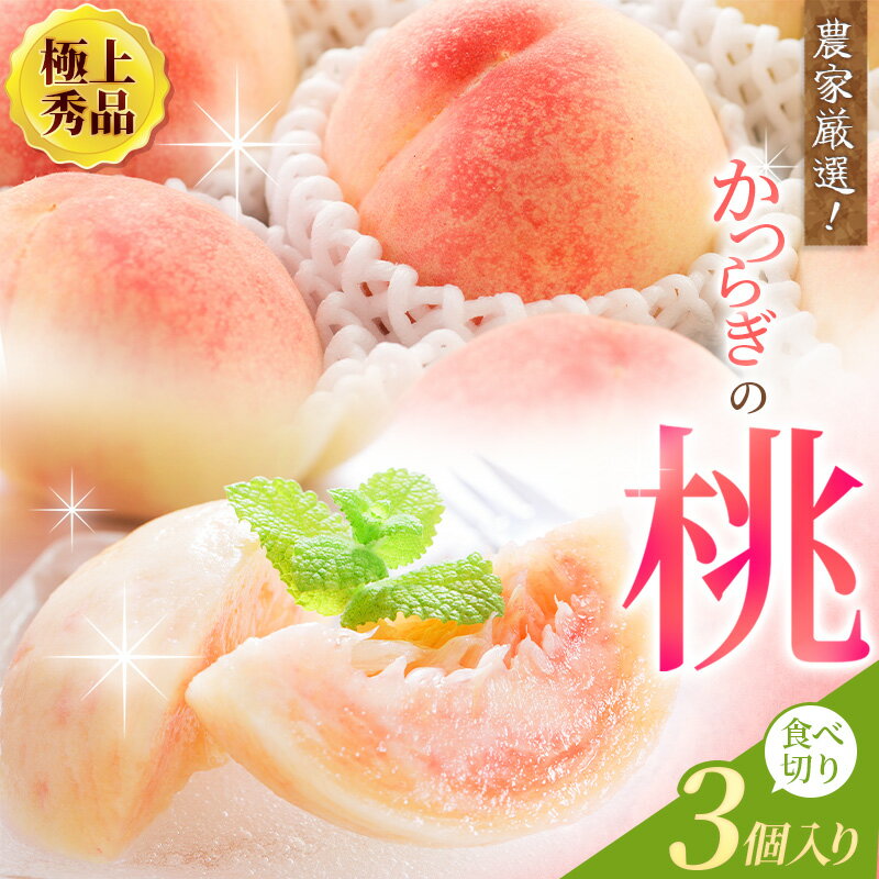 【ふるさと納税】 ☆極上秀品☆ 桃 食べきりやすい3個入 《2025年6月末から7月末順次発送》こだわり農家厳選 桃 もも モモ 果物 くだもの フルーツ 先行予約 人気 和歌山の桃 贈答 贈り物 プレゼント 数量限定 お取り寄せ かつらぎ町 くしがきの里 送料無料【KG1】