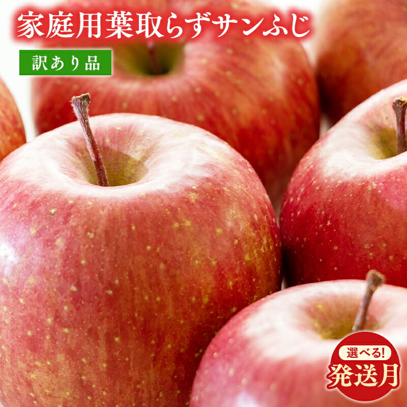 【ふるさと納税】≪発送月が選べる≫ 青森県産 訳あり家庭用 葉取らずサンふじ 約10kg (32〜40玉程度) 【 青森県 平川市 森山商店 】 りんご 森山商店 青森りんご 林檎 リンゴ サンふじ ふじ 葉とらず 訳あり 訳アリ 家庭用 平川市 青森県 レビューキャンペーン