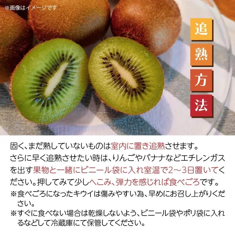 未追熟キウイフルーツ 扁平型 36玉(約3.7kg)_2753R