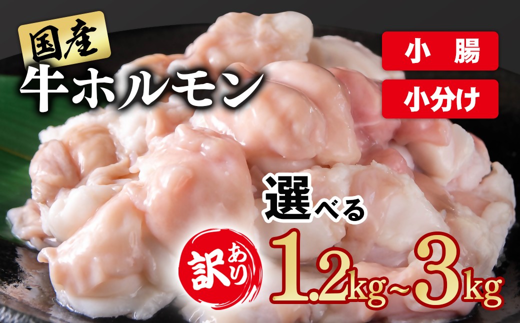 
                  【選べる内容量】訳あり牛ホルモン 小腸 1.2㎏~3kg  小分け 国産 ホルモン もつ鍋 焼肉用 国産牛  牛モツ  コラーゲン ＜1-300＞ ＜1.4-37＞ ＜2-111＞ 58-45a 58-49a 58-50a
                
