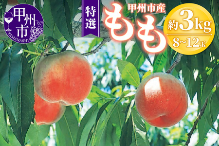甲州市産 桃 約3kg 8～12玉（特選）【2025年発送】（OGN）C-1801 【特選 桃 もも モモ 令和7年発送 期間限定 山梨県産 甲州市 フルーツ 果物】