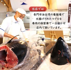 (1347)油谷産養殖本マグロ 中トロ柵 800g