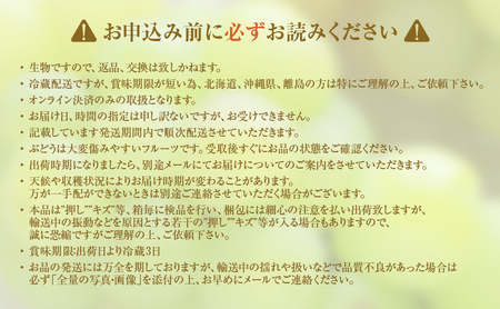 瀬戸ジャイアンツ ぶどう 訳あり 岡山県産 瀬戸ジャイアンツ【4～5房 約2kg】【冷蔵・先行予約】