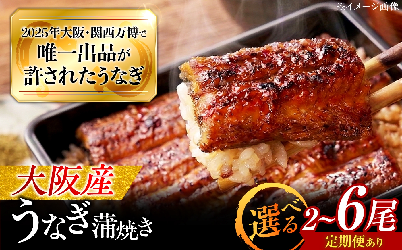
                  【全12回定期便】 鰻 鰻の蒲焼 2尾 /美陵鰻 鰻 うなぎ ウナギ 蒲焼 蒲焼き かば焼き 白焼き 白焼 肉厚 うな重 うな丼 ひつまぶし おかず タレ 山椒 国産 スタミナ 土用 丑の日 土用の丑の日 贈答 贈り物 ギフト / 大阪府藤井寺市/(株)れいわ水産 [BLAL005]
                