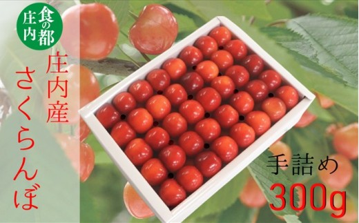 【令和8年産】食の都庄内　庄内産さくらんぼ「佐藤錦」手詰め約300g　※令和8年6月中下旬頃発送