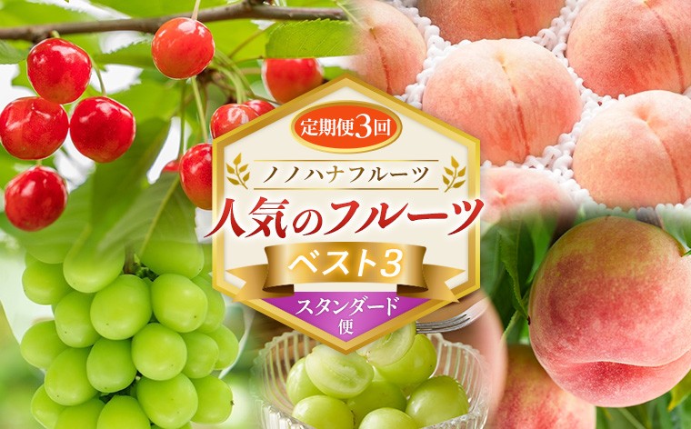 
                  【定期便3回】ノノハナフルーツ 人気のフルーツベスト３ スタンダード便 FY26-223
                