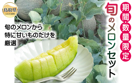 旬のメロンセット【期間･数量限定】_T2600191