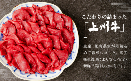 牛肉 上州牛切り落とし 500g