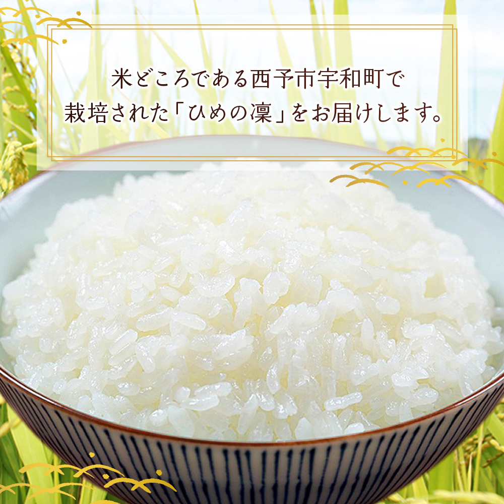 ＜愛媛県推進米 ひめの凜 約5kg＞ お米 コメ こめ 白米 精米 ご飯 ライス 穀物 ひめのりん ヒメノリン ブランド米 大粒 ツヤツヤ 特産品 愛媛県産 西予市産 宇和町産 三好フク 愛媛県 西予