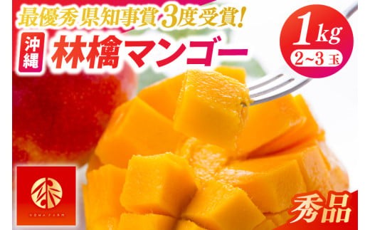 【2027年6月下旬より順次発送】★数量限定★沖縄県最優秀県知事賞に3度輝いた! ★秀品★沖縄マンゴー約1kg(2～3玉)｜マンゴー 果物 フルーツ くだもの 先行予約 沖縄 沖縄フルーツ 秀品 数量限定 沖縄県 沖縄県産 豊見城市(BV008-1)