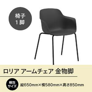 椅子 アダル ロリア アームチェア ブラック 金物脚 P3023-1WK 椅子