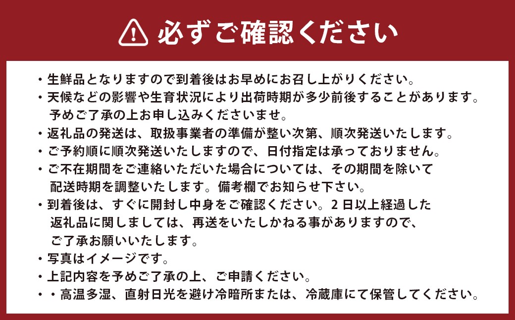 極早生 みかん 約10kg （2S～2Lサイズ）