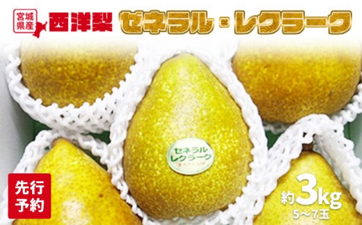 
                  【先行予約】★数量限定★西洋梨 ゼネラル・レクラーク 約3kg (5～7玉) | 梨 果物 くだもの フルーツ 食後 香り豊か 旬 ジューシー 甘い 美味しい 果汁 さわやかな酸味 贅沢 季節限定 3kg 食感 香り 爽やか そのまま 冷やして 季節の果物 蔵王の麓 朝食 おやつ 栄養 ビタミン コンポート タルト 壽丸果樹園 ふるさと納税 お取り寄せ 宮城県 白石市 白石【1510101】
                