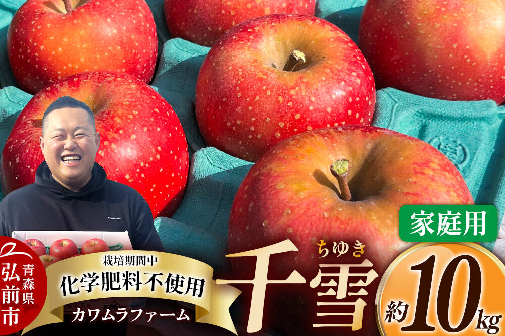 【26年10月下旬～発送】りんご 千雪 約10kg カワムラファーム【家庭用】青森 果物 フルーツ 林檎 リンゴ くだもの [先行受付 アップル おいしい ちゆき 果実 果物 赤色 美味 林檎 弘前市]