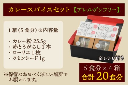 ハーブ講師が作る教室で人気のカレースパイスセット （5食分 × 4箱）【アレルゲンフリー】 【スパイス スパイスカレー スパイスセット カレーパウダー おうちカレー カレー粉 香辛料 セット 手作り 