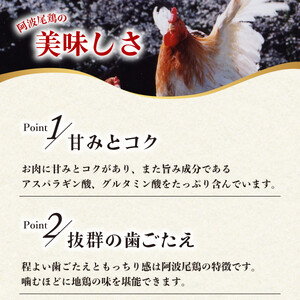 阿波尾鶏 ぜいたくガパオ 20食入 130g×20パック ガパオライス 国産 鶏肉 地鶏 エスニック タイ料理 常温 レトルト AWAODORI LAB