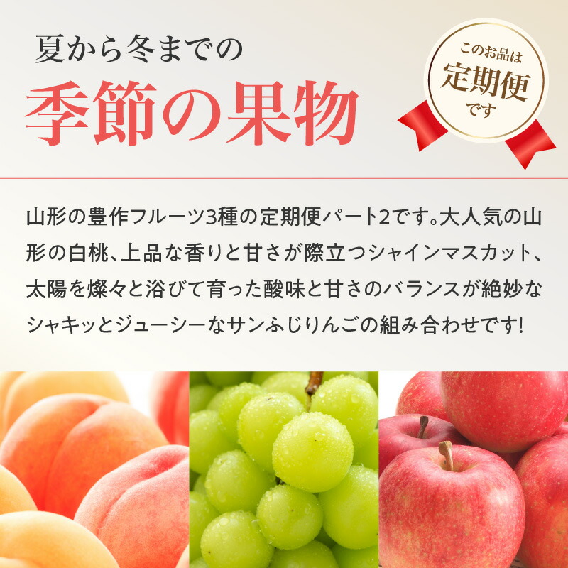 ≪先行受付≫ 【2026度年発送】山形豊作フルーツ人気Ｂ【定期便全3回】